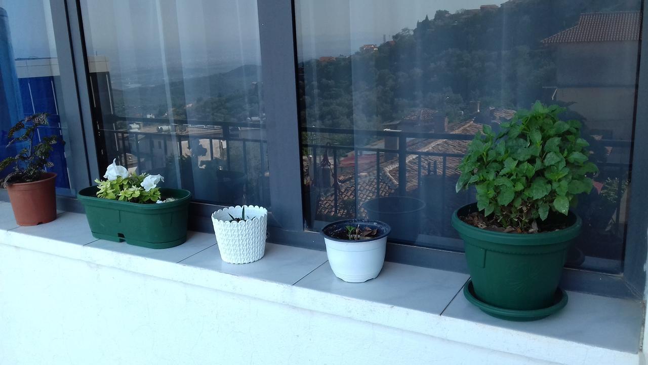 Kruja Hostel Εξωτερικό φωτογραφία