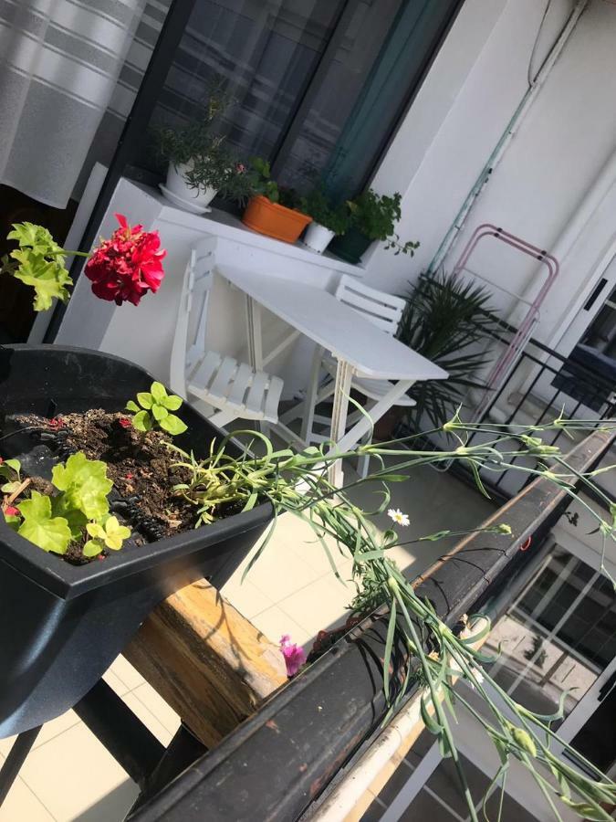Kruja Hostel Εξωτερικό φωτογραφία